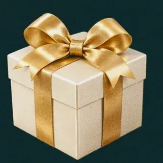 Wrapped gift box — Rich Prize