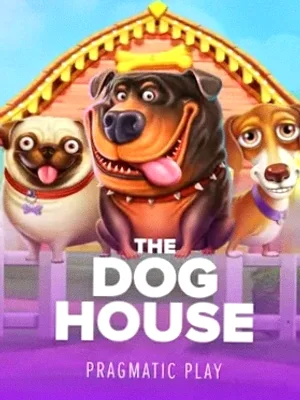 The Dog House at Rich Prize